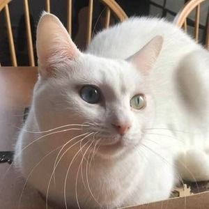 Meet your Posher, Jocelyne